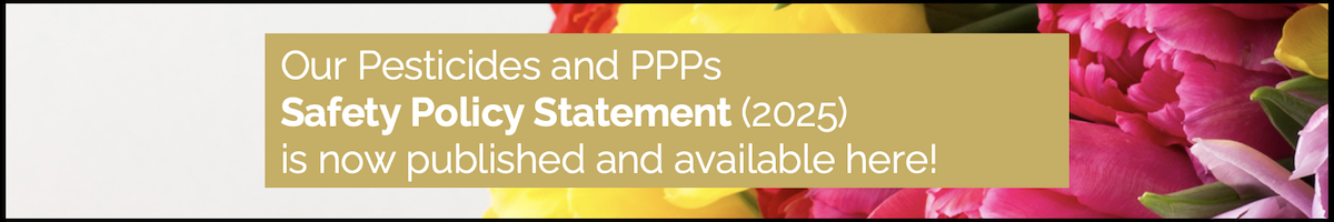 PPP Safety Policy Banner - hover